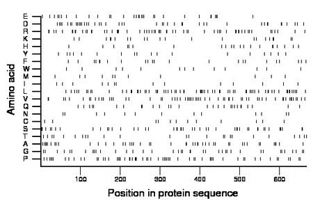 amino acid map