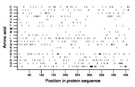 amino acid map