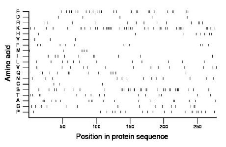 amino acid map