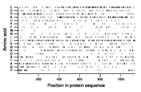 amino acid map