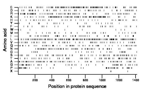 amino acid map