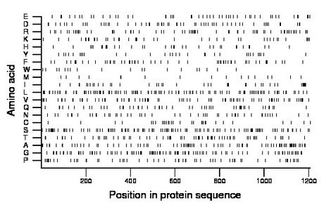 amino acid map