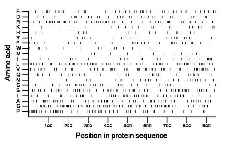 amino acid map