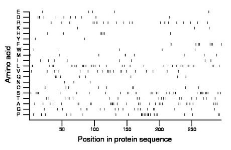 amino acid map