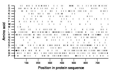 amino acid map