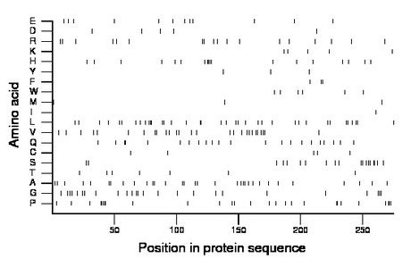 amino acid map