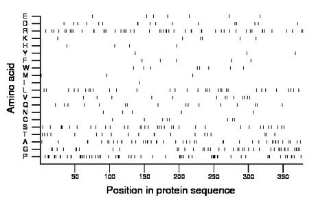 amino acid map