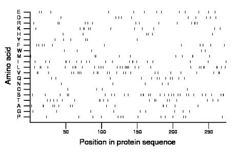 amino acid map