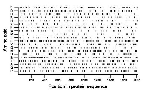 amino acid map