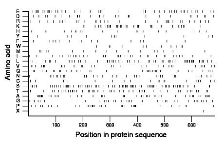 amino acid map