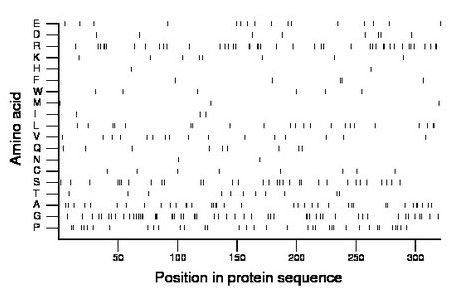 amino acid map