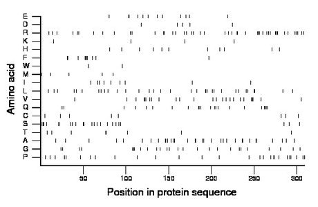 amino acid map