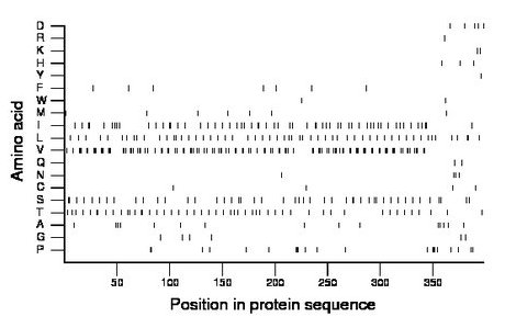 amino acid map