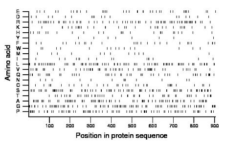 amino acid map