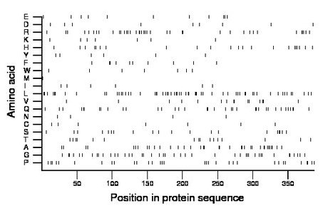 amino acid map