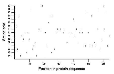 amino acid map