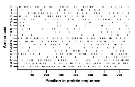 amino acid map