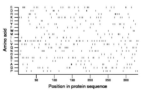 amino acid map