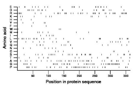 amino acid map