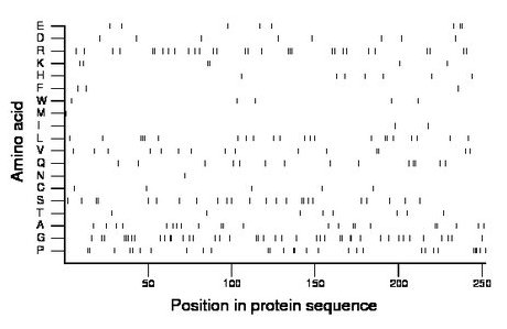 amino acid map