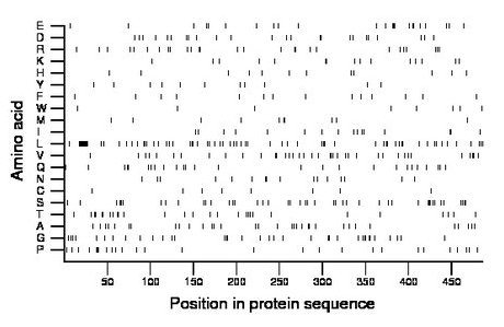 amino acid map