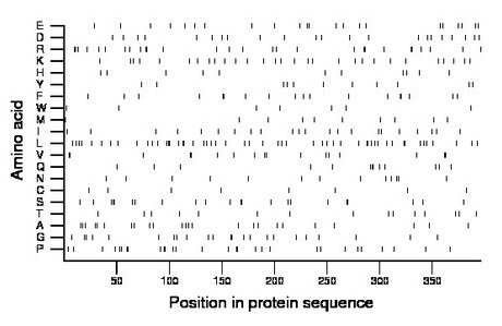 amino acid map