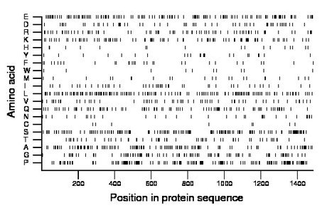 amino acid map