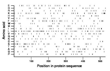 amino acid map