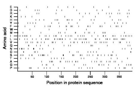 amino acid map