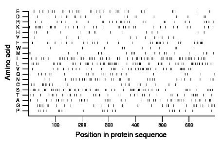 amino acid map