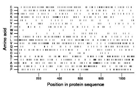 amino acid map