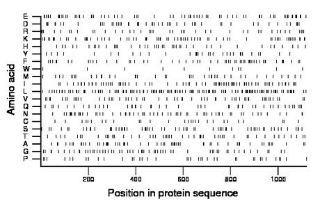 amino acid map