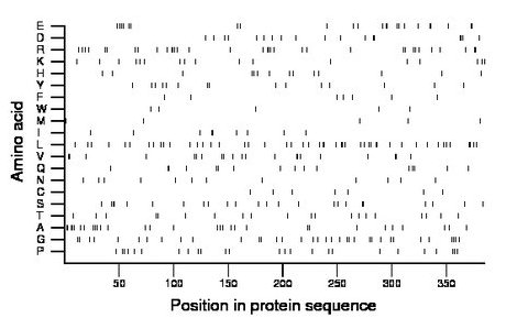 amino acid map