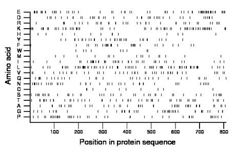 amino acid map