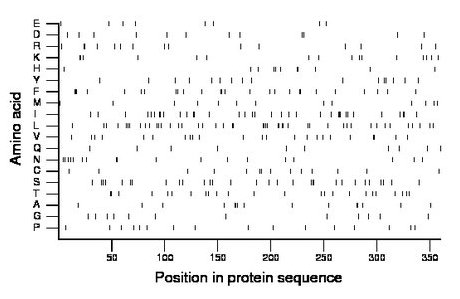 amino acid map