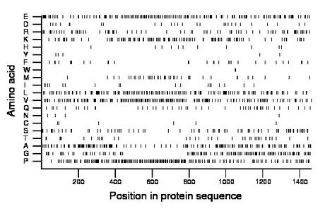 amino acid map