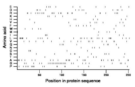 amino acid map