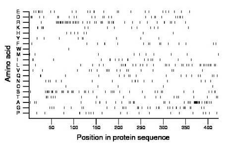 amino acid map