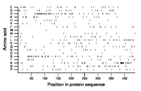 amino acid map