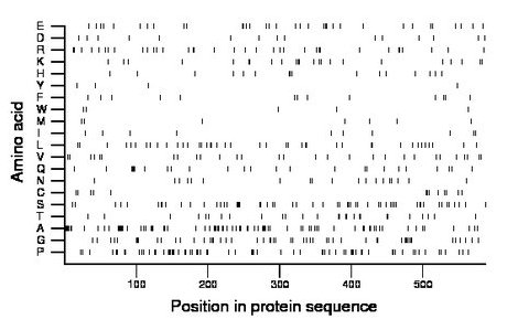 amino acid map