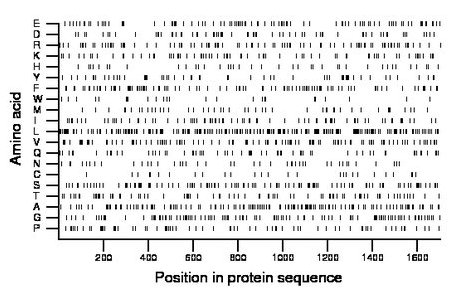 amino acid map