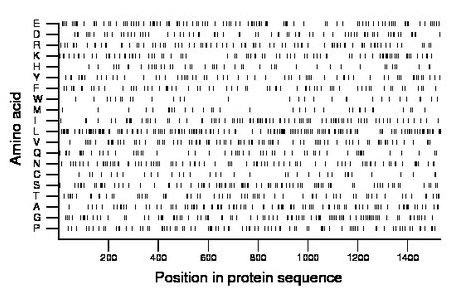 amino acid map