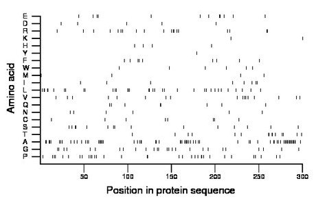 amino acid map