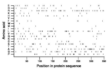 amino acid map