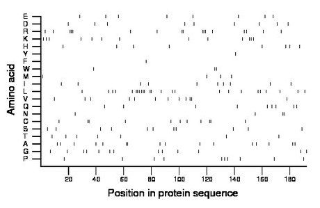 amino acid map