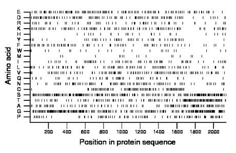 amino acid map