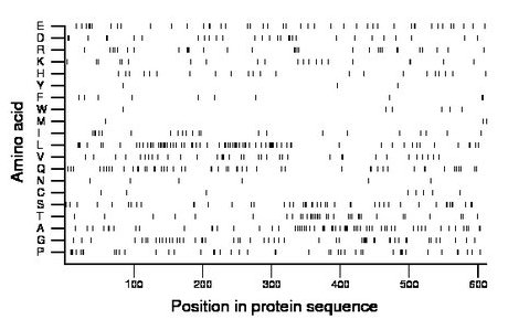 amino acid map