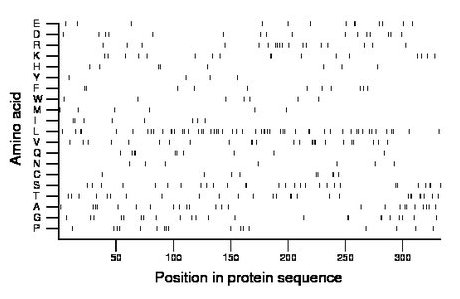 amino acid map