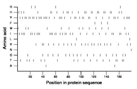 amino acid map