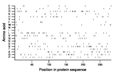 amino acid map